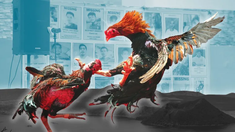 Cách Chơi Đá Gà Sabong Tại 12Bet Kịch Tính Đỉnh Cao Thắng Lớn 2 Cách Chơi Đá Gà Sabong Tại 12Bet Kịch Tính Đỉnh Cao Thắng Lớn