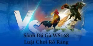 Bí Quyết Chinh Phục Đá Gà WS168 Tại 12Bet Thắng Lớn Tuyệt Đối