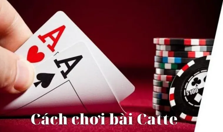 Bí Quyết Làm Chủ Cách Chơi Sắc Tê Nhà Cái 12Bet Chuẩn Xác Nhất
