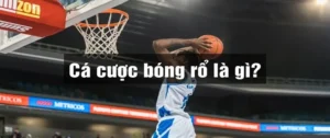 Cá Cược Bóng Rổ 12Bet Bùng Nổ Với Tỷ Lệ Thắng Cực Hấp Dẫn